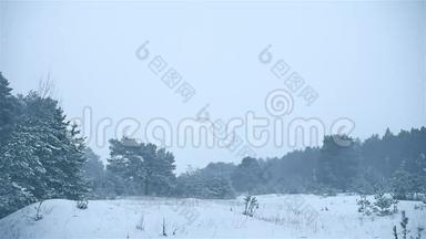 暴<strong>风雪</strong>，森林，冬季暴<strong>风雪</strong>，圣诞树自然和松林景观